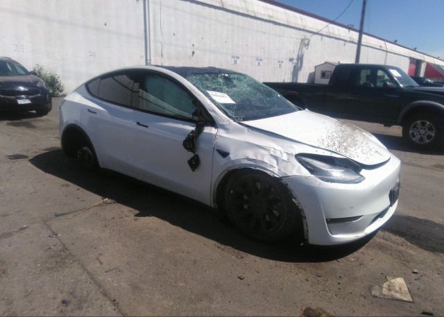 2021 TESLA MODEL Y (VIN: 5YJYGDEE2MF181247)