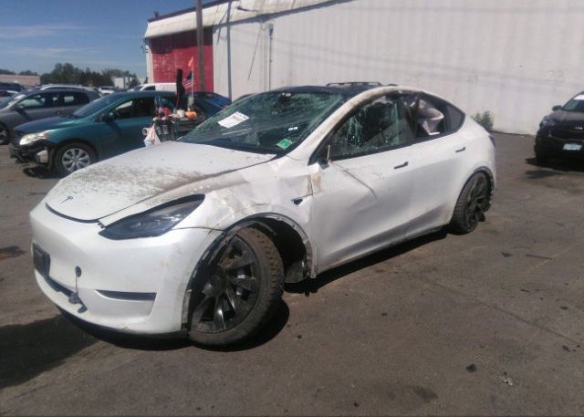 2021 TESLA MODEL Y(VIN: 5YJYGDEE2MF181247