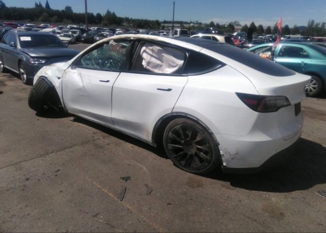 2021 TESLA MODEL Y(VIN: 5YJYGDEE2MF181247
