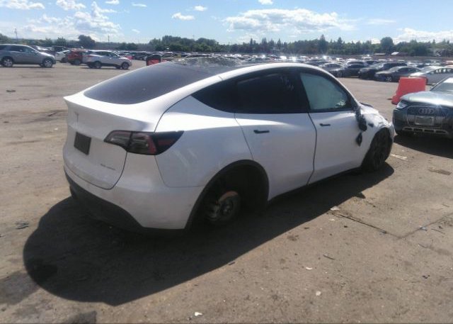 2021 TESLA MODEL Y(VIN: 5YJYGDEE2MF181247
