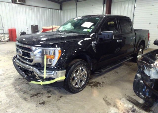 2021 FORD F-150(VIN: 1FTEW1EP8MFC02037