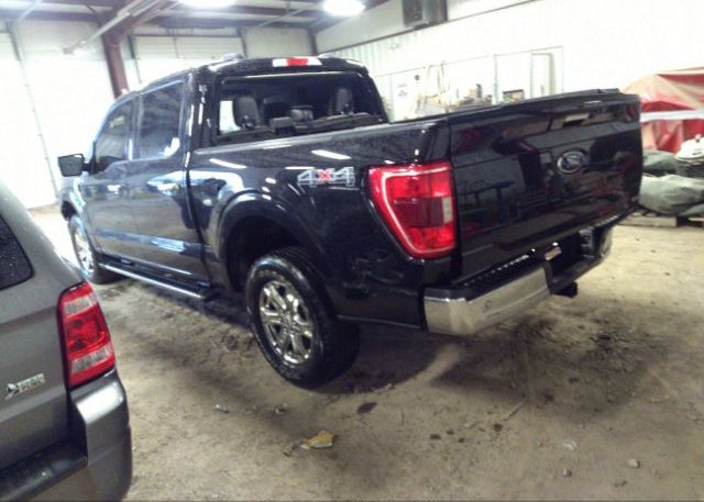 2021 FORD F-150(VIN: 1FTEW1EP8MFC02037