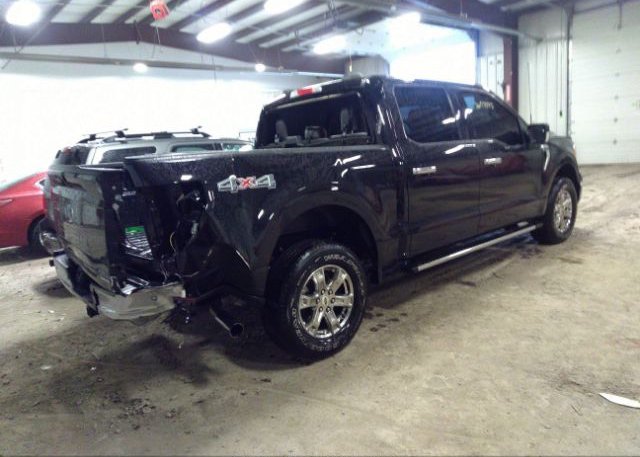 2021 FORD F-150(VIN: 1FTEW1EP8MFC02037