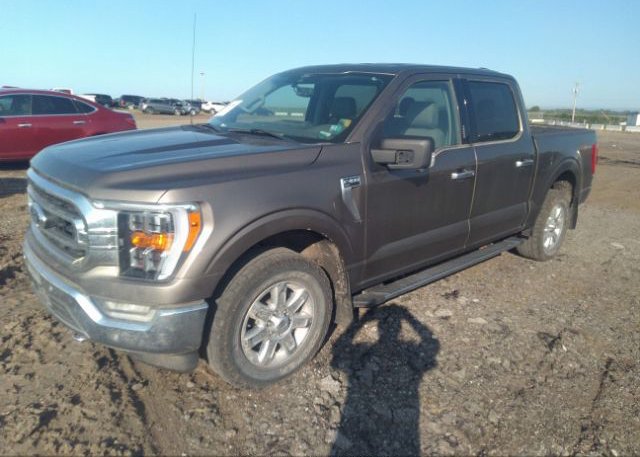 2021 FORD F-150(VIN: 1FTFW1E86MKD55939