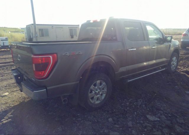 2021 FORD F-150(VIN: 1FTFW1E86MKD55939