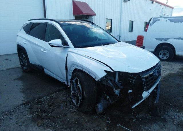 2022 HYUNDAI TUCSON (VIN: 5NMJE3AE3NH102546)