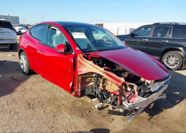 2023 TESLA MODEL Y (VIN: 7SAYGDEE2PF610765)