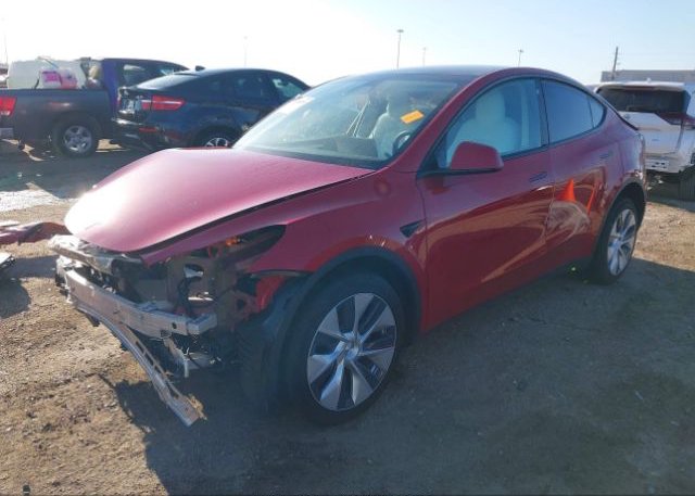 2023 TESLA MODEL Y(VIN: 7SAYGDEE2PF610765