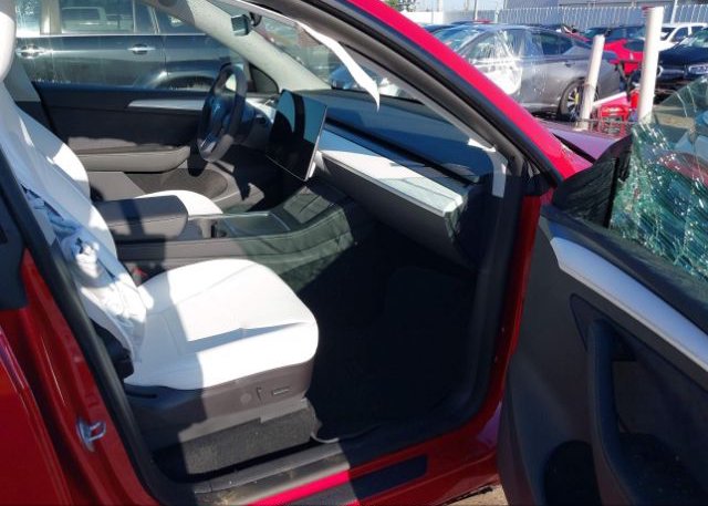 2023 TESLA MODEL Y(VIN: 7SAYGDEE2PF610765