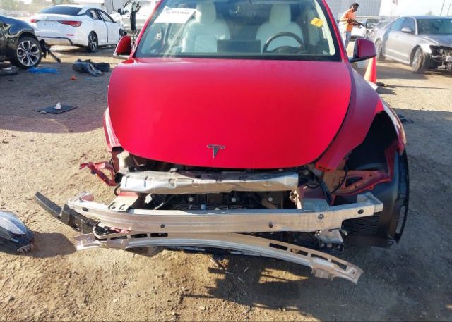 2023 TESLA MODEL Y(VIN: 7SAYGDEE2PF610765