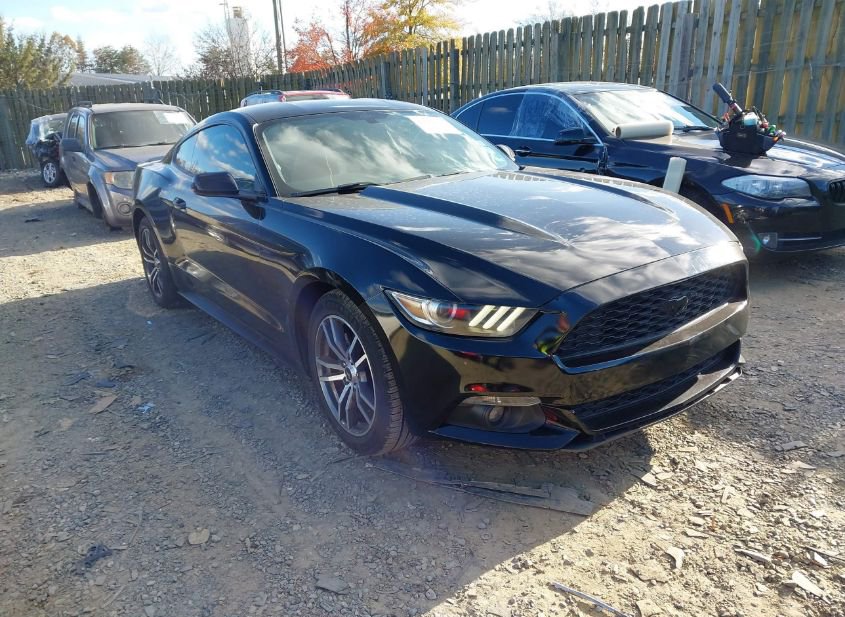 2016 FORD MUSTANG ECOBOOST photo