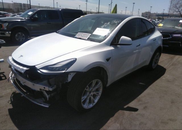 2021 TESLA MODEL Y(VIN: 5YJYGDEE1MF110086