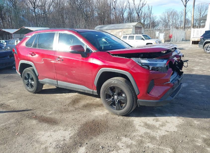 2023 TOYOTA RAV4 XLE photo