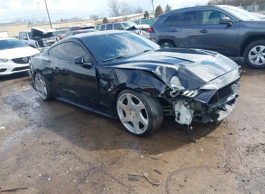 2021 Ford Mustang 5.0L photo