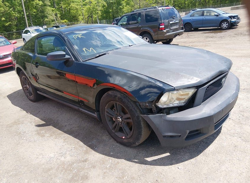 2010 Ford Mustang 4.0L photo