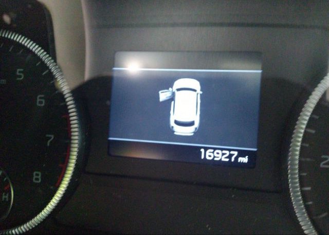 2022 KIA TELLURIDE(VIN: 5XYP3DHC6NG251537