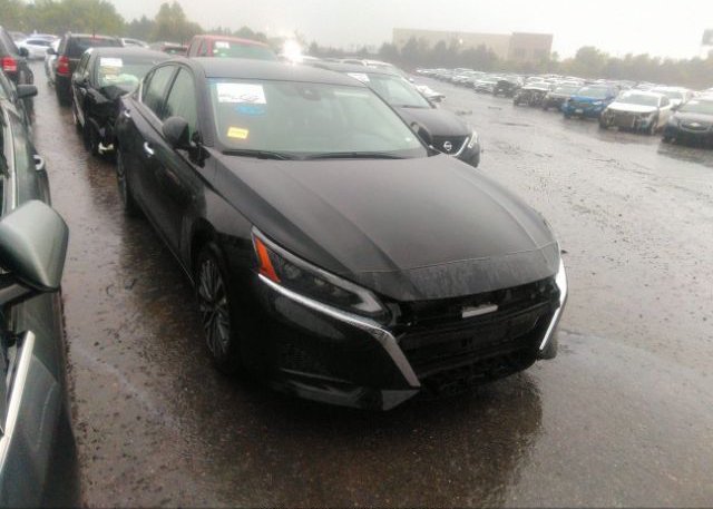 2023 NISSAN ALTIMA (VIN: 1N4BL4DV1PN356523)