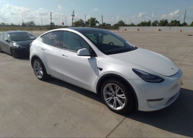 2021 TESLA MODEL Y (VIN: 5YJYGDEE7MF104163)