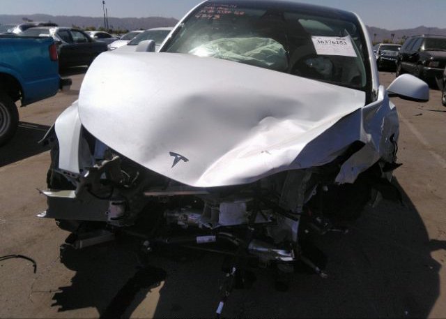 2022 TESLA MODEL Y(VIN: 7SAYGDEF5NF494743