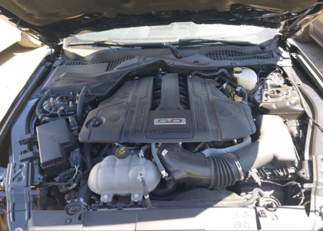 2023 FORD MUSTANG(VIN: 1FA6P8CF7P5304627