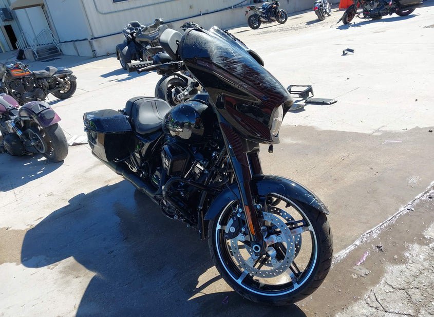 2025 Harley-Davidson Flhx 2 photo