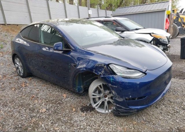 2023 TESLA MODEL Y (VIN: 7SAYGDEEXPA106574)