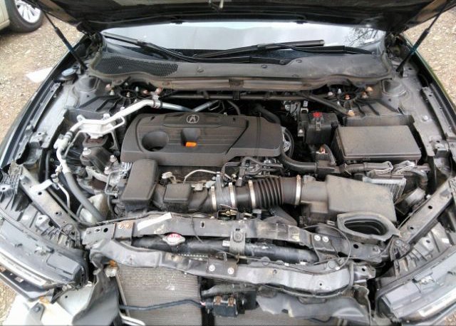 2021 ACURA TLX(VIN: 19UUB6F44MA004143
