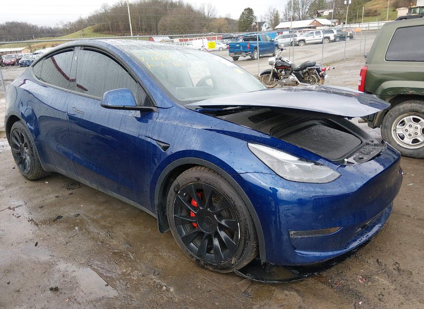 2024 Tesla Model Y EL photo
