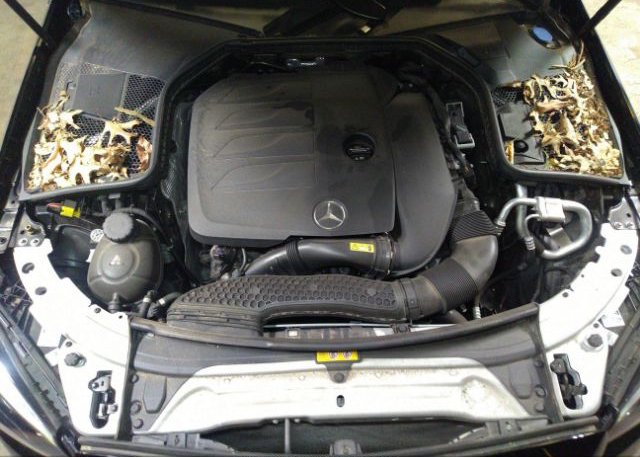 2021 MERCEDES-BENZ C-CLASS(VIN: W1KWF8EB4MR647638