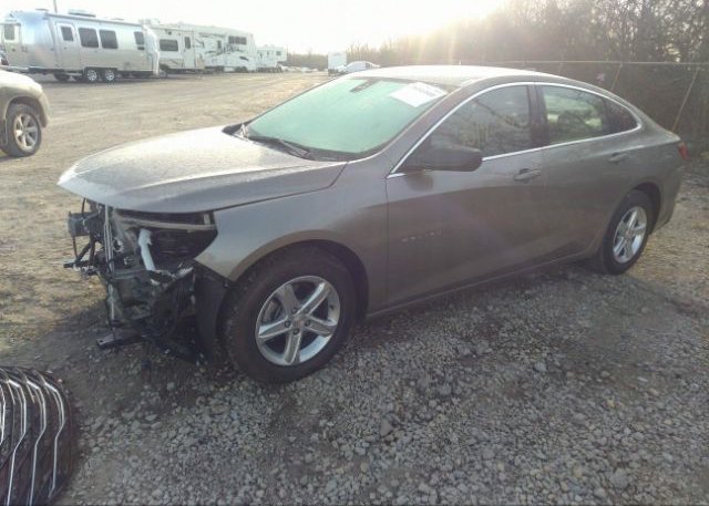 2022 CHEVROLET MALIBU(VIN: 1G1ZB5ST3NF209901