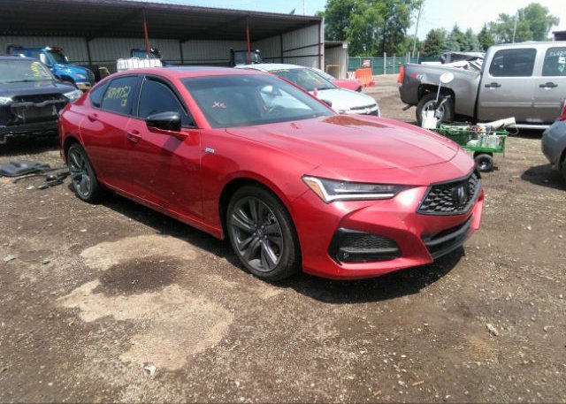 2023 ACURA TLX (VIN: 19UUB6F51PA001522)