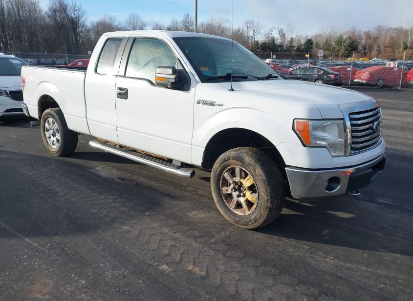 2012 FORD F-150 XLT photo
