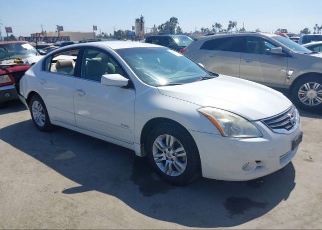 1N4CL2AP7AC110979 2010 NISSAN ALTIMA HYBRID
