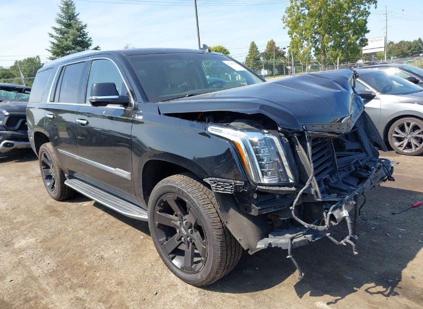 2017 CADILLAC ESCALADE LUXURY photo