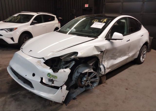 2021 TESLA MODEL Y(VIN: 5YJYGDEE8MF207771