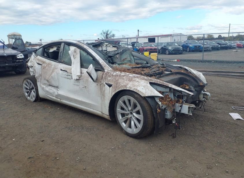 2022 TESLA MODEL 3 REAR-WHEEL DRIVE photo