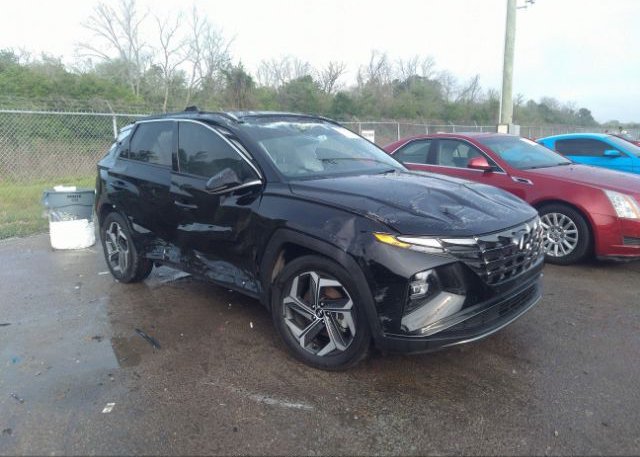 2023 HYUNDAI TUCSON (VIN: 5NMJE3AE9PH167520)