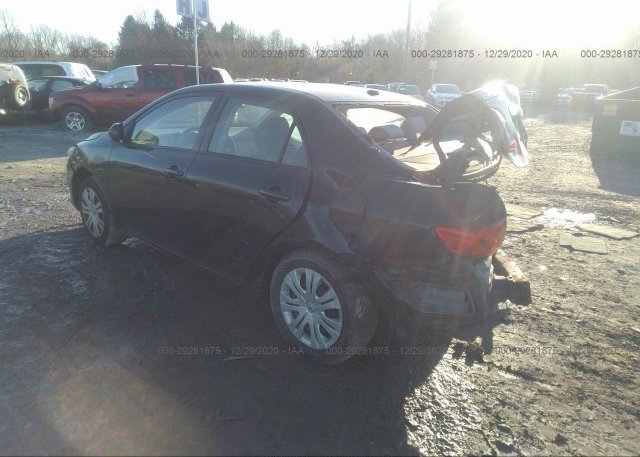 купить 2010 TOYOTA COROLLA 1NXBU4EE3AZ319567