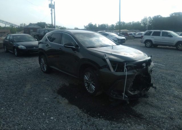 2022 LEXUS NX (VIN: JTJGKCEZ3N2004585)