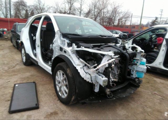 2023 CHEVROLET EQUINOX (VIN: 3GNAXKEG8PL110493)