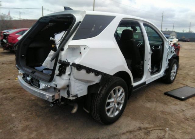 2023 CHEVROLET EQUINOX(VIN: 3GNAXKEG8PL110493