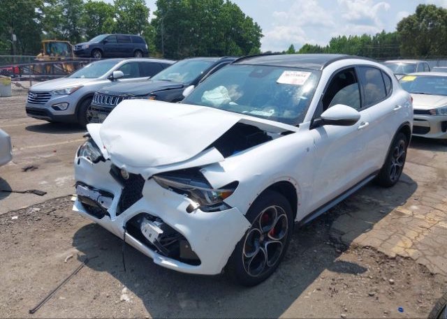 2023 ALFA ROMEO STELVIO(VIN: ZASPAKBN1P7D51203
