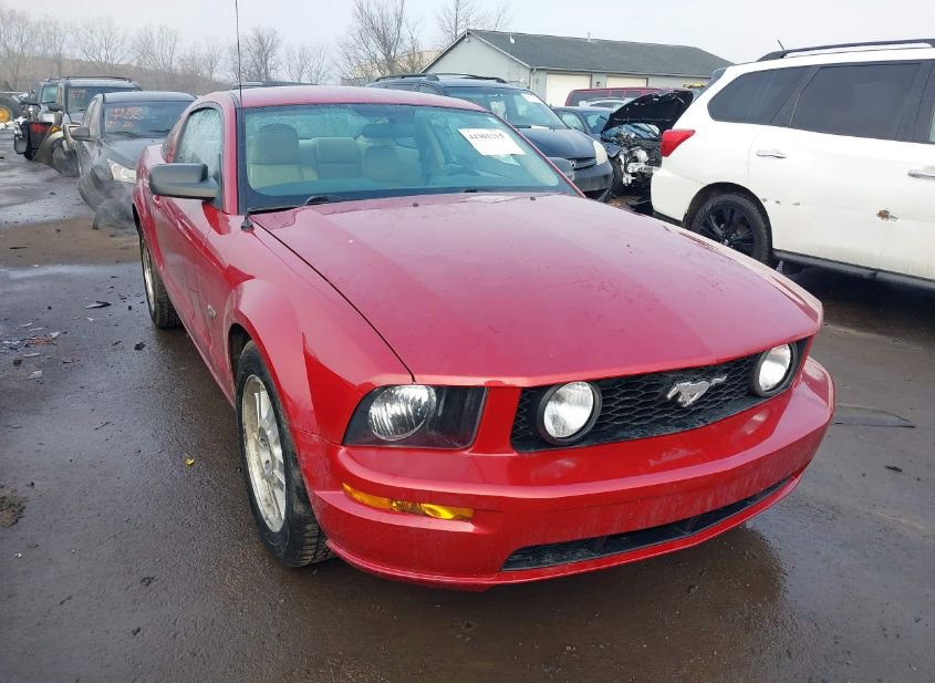 2008 FORD MUSTANG GT DELUXE/GT PREMIUM photo