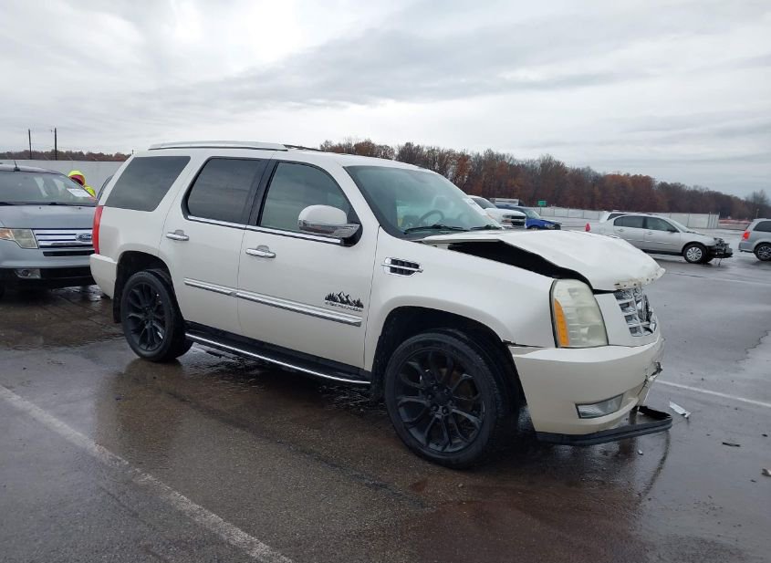 2011 CADILLAC ESCALADE STANDARD photo