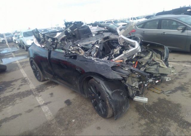 2023 TESLA MODEL Y(VIN: 7SAYGDEF0PF601992