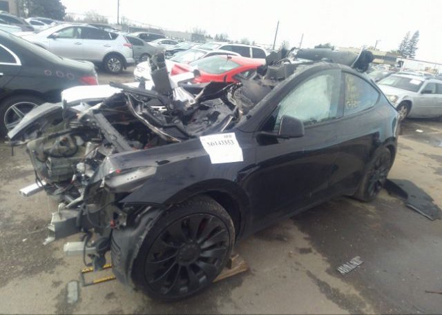 2023 TESLA MODEL Y(VIN: 7SAYGDEF0PF601992