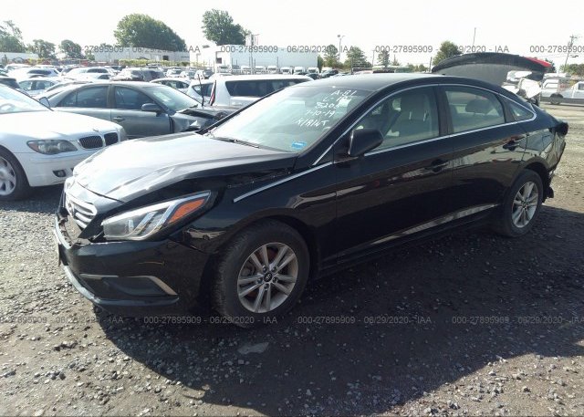 из сша 2016 HYUNDAI SONATA 5NPE24AF5GH285205