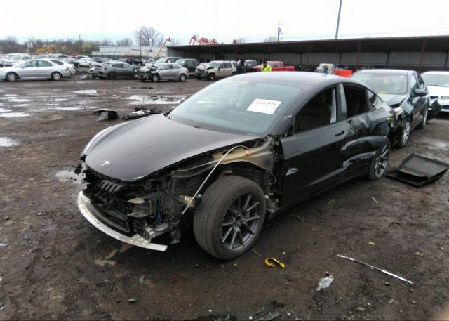 2021 TESLA MODEL 3(VIN: 5YJ3E1EA6MF043402