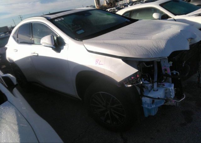 2022 LEXUS NX (VIN: JTJAKCEZ7N5004092)