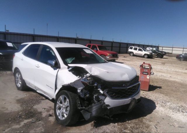2021 CHEVROLET EQUINOX (VIN: 3GNAXUEV8MS117181)
